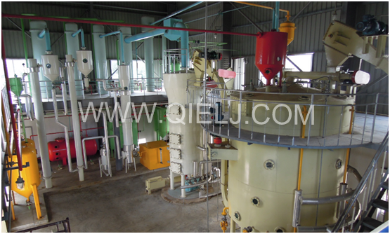 茶籽油精炼设备 冷榨山茶籽油成套设备(图4) 茶籽油精炼设备 冷榨山茶籽油成套设备(图4)