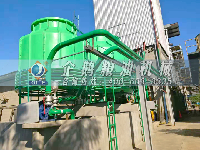 如何投资建设棕榈油加工厂？企鹅粮油机械在线为您答疑解惑(图3)