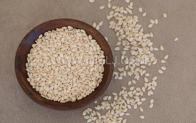 芝麻油压榨处理设备，企鹅牌液压榨油机勇于创新生产效率高(图1)