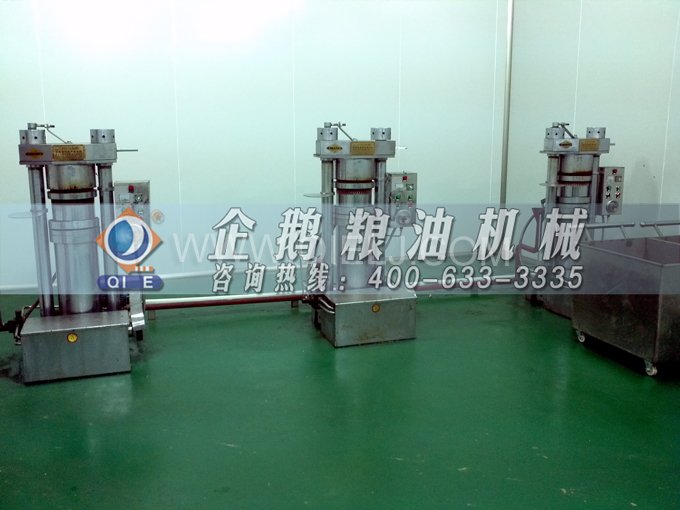 芝麻油压榨处理设备，企鹅牌液压榨油机勇于创新生产效率高(图4)